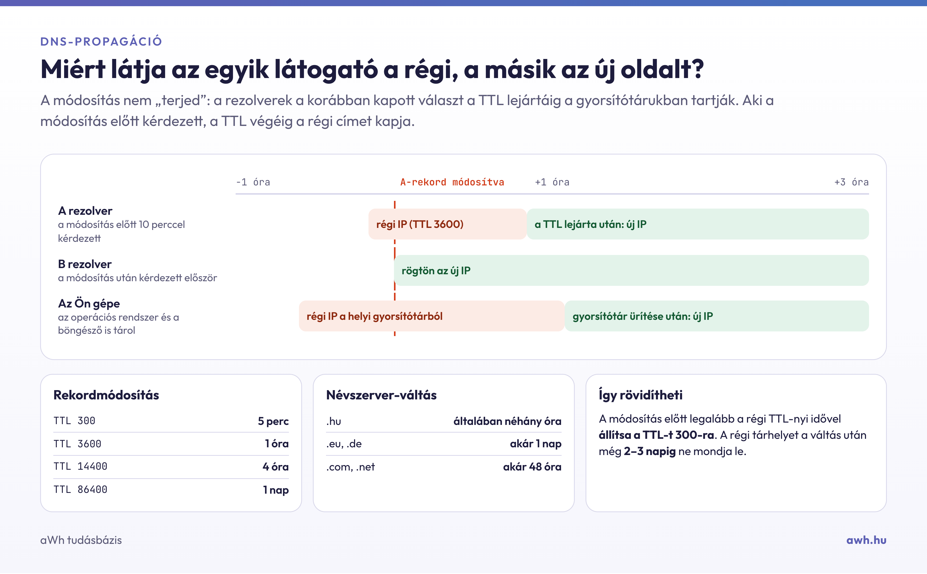 Infografika: a DNS-gyorsítótárak és a TTL szerepe a propagációban